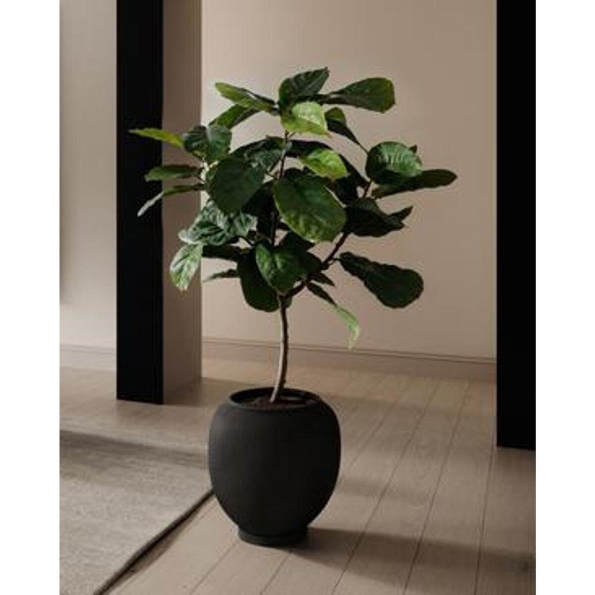 Sunao Planter Large Black