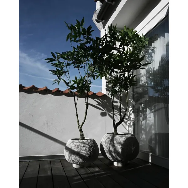 Urchin Planter Large Beehive