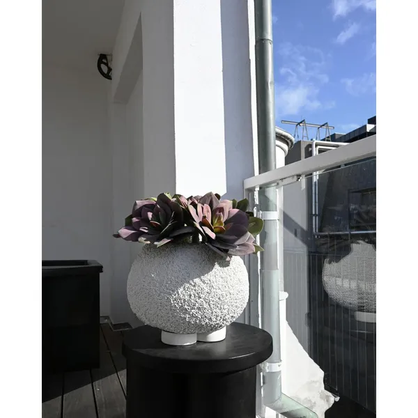 Urchin Planter Mini Beehive
