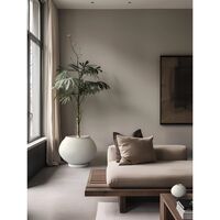 Sunao Planter Fat Hexa Birch