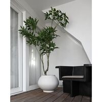 Sunao Planter Fat Hexa Birch