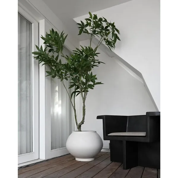 Sunao Planter Fat Hexa Birch