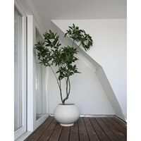 Sunao Planter Fat Hexa Birch