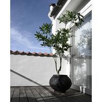 Sunao Planter Fat Hexa Black
