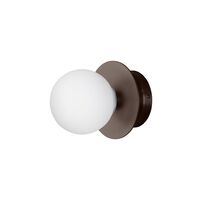 Bronze / White
