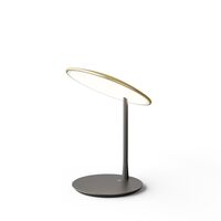 Disc Table Lamp Brushed Brass/ Black