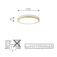 AJ Munkegaard Ceiling Light Ø26.5 3000K & Dali/ Switch- Brass
