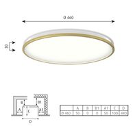 AJ Munkegaard Ceiling Light Ø46 3000K & Dali/ Switch- Dim Brass