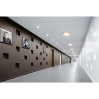 LP Slim Loftlampe Halvforsænket Ø44 3000K & Dali Sort