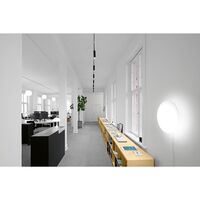 Ripls Væg/Loftlampe Ø31 3000K & Dali Opal