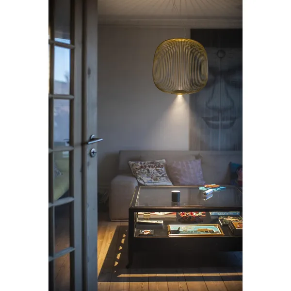 Foscarini My Light Spokes 2 Pendant Gold