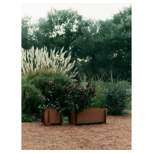 Lapel Planter 38 Rust