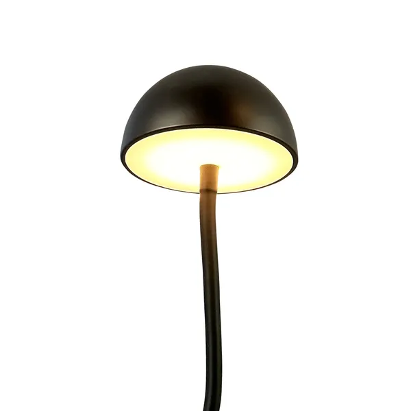 Fonzy Bordlampe Sort