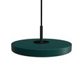 Dark green / Black