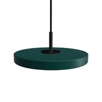 Dark green / Black