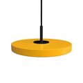 Yellow / Black