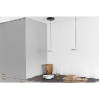 Asteria Micro Pendant With Dimmer Shade Olive/ Black Top