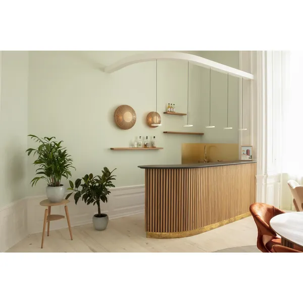 Asteria Micro Pendant With Dimmer Shade Olive/ Black Top
