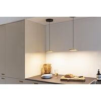 Asteria Micro Pendant With Dimmer Shade Olive/ Black Top