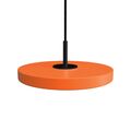 Orange / Black