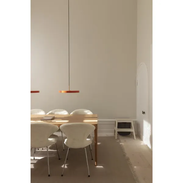 Silla de Comedor Time Flies Teddy White/ Cromo