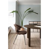 Time Flies Dining Chair Teddy Brown/ Chrome