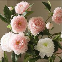 Peony Bouquet Multi Colored