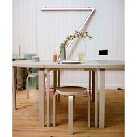 Kruk 60 Wild Birch