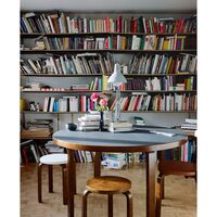 Kruk 60 Wild Birch