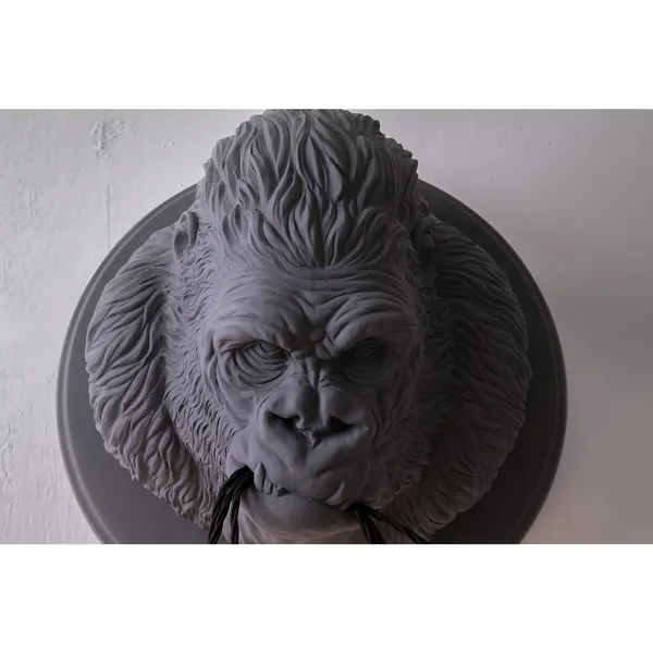 Grau Rilla Wandlampe Matt