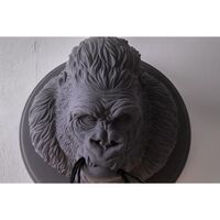 Grau Rilla Wandlampe Matt