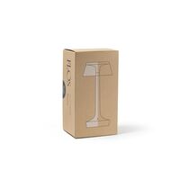 Bon Jour Unplugged Portable Lamp Chrome