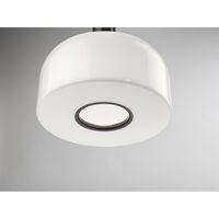 Bellhop S1 Pendel Cioko