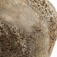Trace Jar 55 Koralle/ Sand