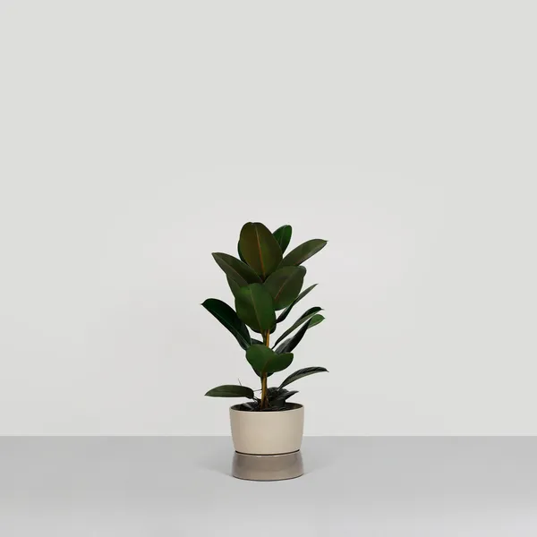 Two Tone Planter Pot Groot Dune Grey