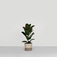 Two Tone Planter Pot Groot Dune Grey