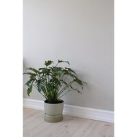 Two Tone Planter Pot Groot Dune Grey