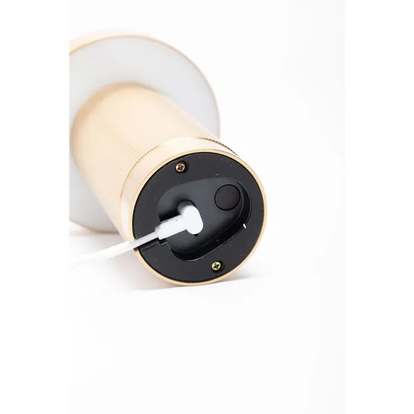 Holster Portable Lamp Brass