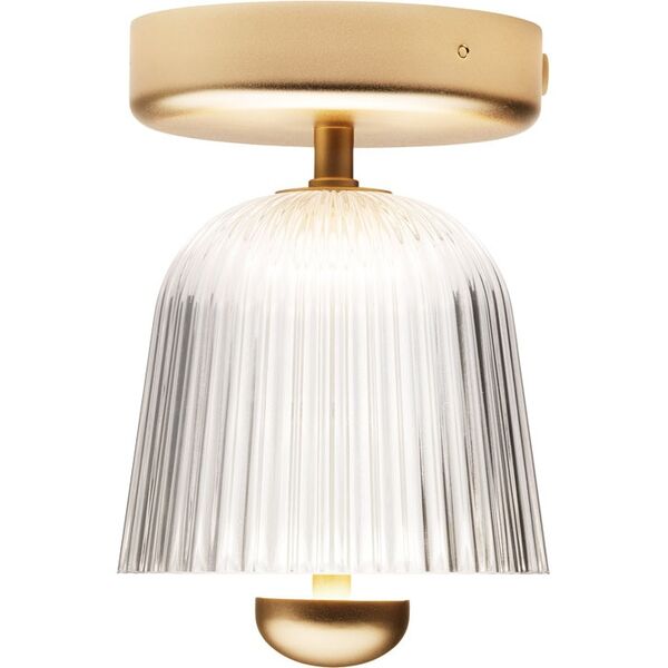 Lampa Sufitowa Asteea w Mosiężny Satyna/przezroczysta Przezroczysty