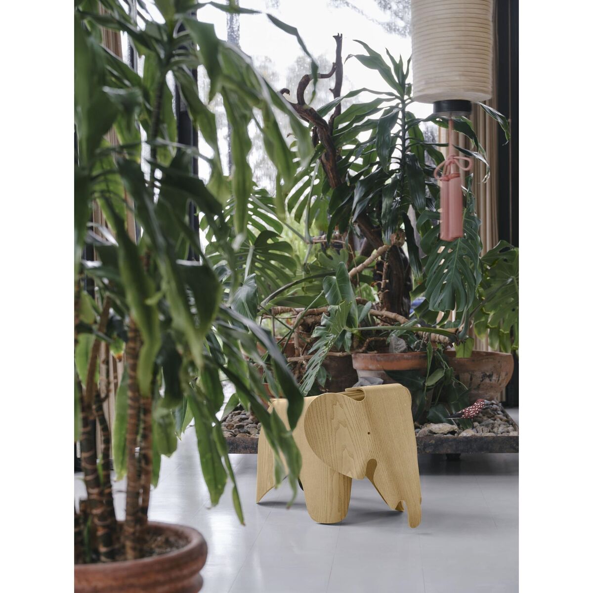 Tabouret Eames Elephant en châtaignier laqué transparent