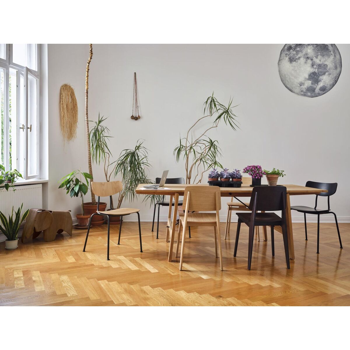 Tabouret Eames Elephant en châtaignier laqué transparent