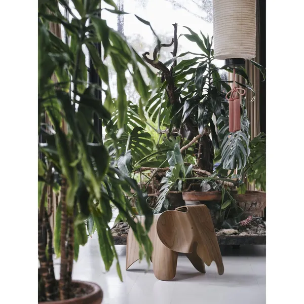 Eames Elephant Stool Clear Lacquered Walnut
