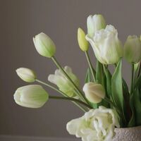 Tulip Mixed Bouquet White
