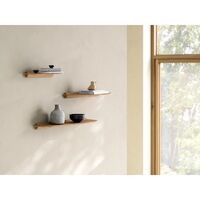 Andersen Meubelplank 1 Plank 40x18 Natuurlijk Geolied Eiken