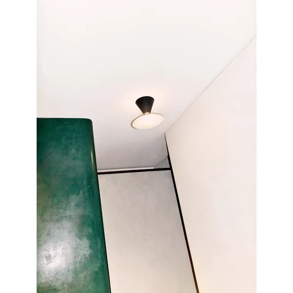 Fante Ceiling Light Black