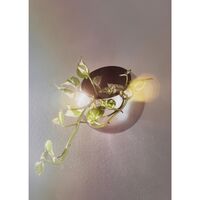GLOBE Wall Flower Pot Ø21 Silver