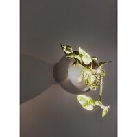 GLOBE Wall Flower Pot Ø21 Silver