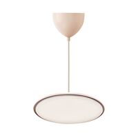 Artist 40 Pendelleuchte Dusty Rose
