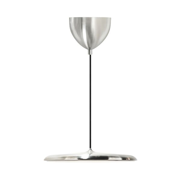 Artist 40 Hanglamp Roestvrij Staal