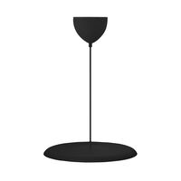 Artist 40 Pendelleuchte Schwarz